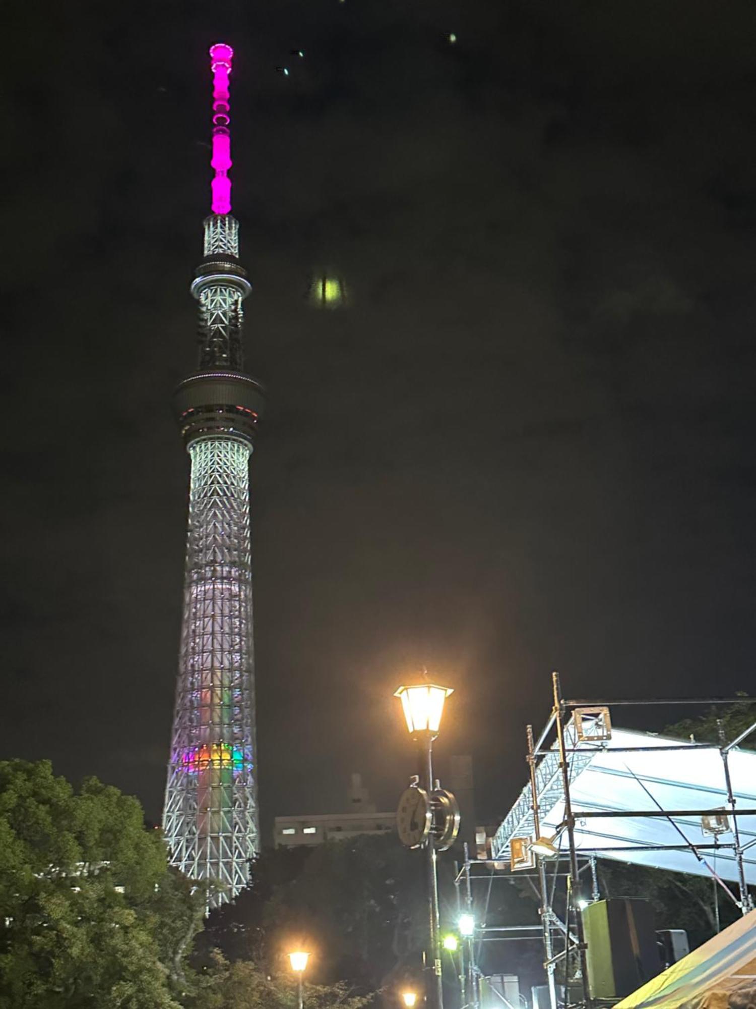 شقة Wise Park Mukojima طوكيو المظهر الخارجي الصورة